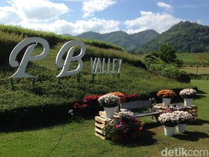 Thailand Godok Asuransi Pandemi untuk Turis Asing