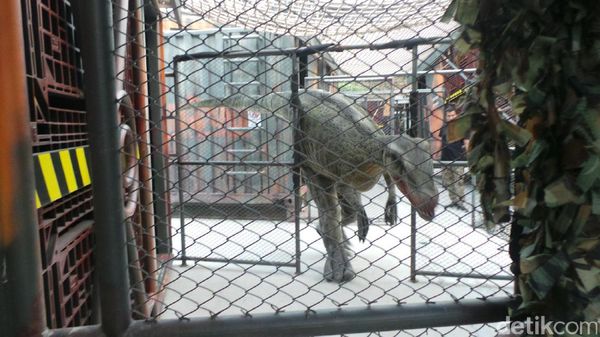 Bangkok Punya Dinosaurus