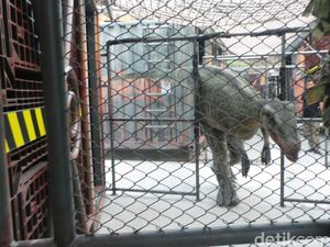 Bangkok Punya Dinosaurus