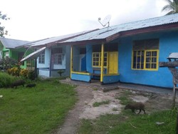 Kini, Warga Desa Puai di Papua Nikmati Air Bersih Berkat Listrik