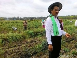 Cabai Rawit Merah Mahal, Mentan: Aku Hanya Bisa Urut Dada