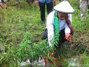 Menteri Amran Minta Generasi Muda Tidak Diisi dengan Kepalsuan