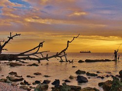 Asyiknya Snorkeling di Pulau Tikus Nan Eksotis di Bengkulu