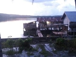 Di Papua Masih Ada Pemadaman Gara-gara Tiang Listrik Sering Tumbang