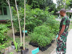 Program Emas Hijau, Cara Pangdam Pattimura Ajak Warga Budidayakan Tanaman