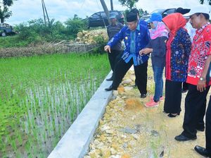 Lamongan Uji Coba Padi Organik di Lahan Seluas 40 Ha