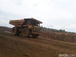 Harga Nikel Lesu Bisa Bikin Pendapatan Turun? Bos Vale Bilang Gini