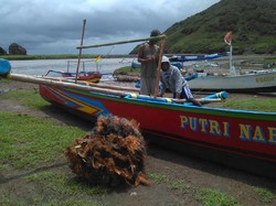 Nelayan Jember Kesulitan Tangkap Lobster, Ini Penyebabnya