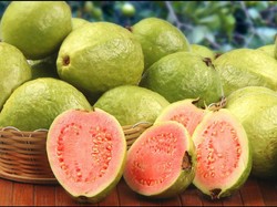 Ayo, Makan Jambu Biji yang Renyah Manis dan Punya 12 Khasiat Sehat (1)