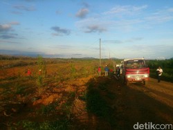 Hanyutkan Tiang Listrik Lewat Sungai, PLN Terangi Desa Terpencil di Kalsel