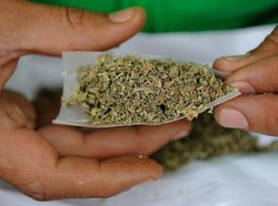 Ahli Makanan Prediksi Makanan Berbahan Ganja Akan Segera Jadi Tren