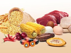 350 Produk Pertanian Bakal Mejeng di Balai Kartini 27-29 Juli Ini