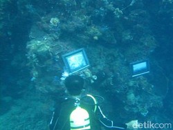 Pameran Foto Bawah Laut di Morella Pecahkan Rekor Muri