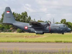 TNI AU: Hercules yang Jatuh di Wamena Sudah Dipakai di Australia Sejak 80-an