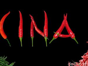 Cabai Petaka dari Cina