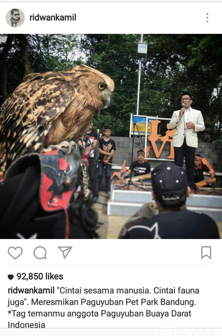 Postingan Ridwan Kamil Soal Burung Hantu yang Dipamerkan Siang Bolong Dikritik