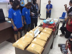 BNNP Bali Sita 25 Kg Ganja untuk Perayaan Tahun Baru di Bali
