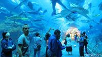 Penampakan Laut Dalam Mal di Dubai
