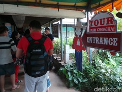 Tak Hanya Ladyboy, Thailand Punya Pertunjukan Koboi Super Seru