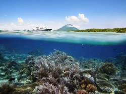 Kemenpar Boyong 16 Artis K-Pop ke Tiga Destinasi Unggulan