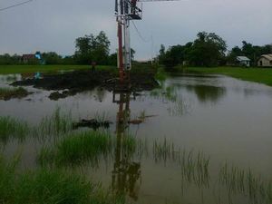 PLN Berupaya Pulihkan Infrastruktur Listrik di Bima Pasca Diterjang Banjir