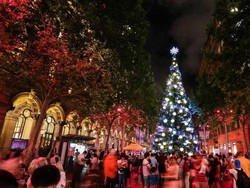 Pohon Natal yang Menjadi Buah Bibir di Australia