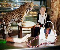 Gucci Ajak Harimau, Singa dan Jerapah Jadi Model Kampanye 2017