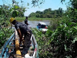 Cerita PLN Bikin Pembangkit Listrik di Atas Tanah Rawa Kalimantan
