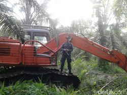 Tim KLHK Sita Alat Berat di Taman Nasional Tesso Nilo