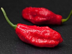 Galang Dana, Pria Ini Rela Makan 23 Buah Cabai Terpedas di Dunia