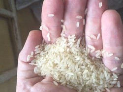 Beras Plastik Disita di Nigeria pada Musim Belanja Natal