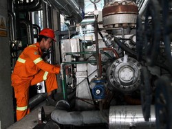 PLN Tender 2 Proyek PLTU Mulut Tambang Tahun Ini