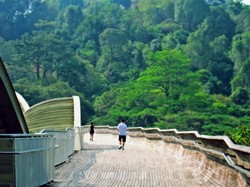 Jembatan Instagenic Tertinggi di Singapura