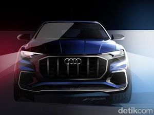 Audi Q8, SUV Paling Bongsor Audi Berwajah Sangar Audi Q8, SUV Paling Bongsor Audi Berwajah Sangar