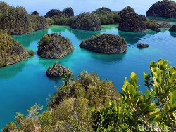 Tahun Depan Pemerintah Wakatobi Targetkan 40.000 Wisatawan