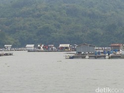Kronologi Penggerebekan Terduga Teroris di Tengah Waduk Jatiluhur