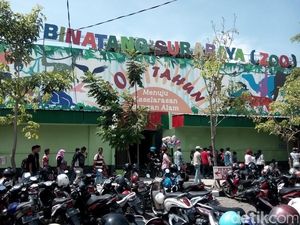 Hari Pertama Lebaran, Kebun Binatang Surabaya Dijubeli 3.340 Pengunjung