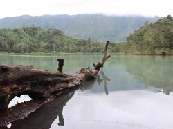 5 Eksotisme Dieng yang Harus Kamu Datangi