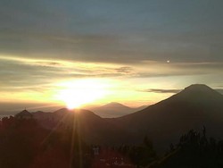 Golden Sunrise Sikunir, Si Kuning yang Masih Terus Diburu