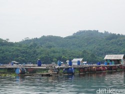 Bupati Purwakarta: Jika Waduk Jatiluhur Diledakkan, Istana Presiden Terendam