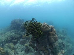 Habiskan Long Weekend Natal di Kepulauan Seribu