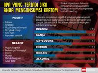Mengenal Kratom: 'Jamu Alternatif' Para Pecandu