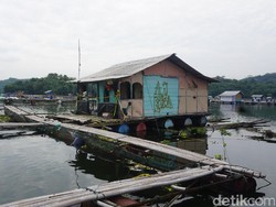 Teroris Jatiluhur Didoktrin oleh Teroris Cigondewah pada Tahun 2013