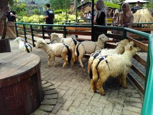 Long Weekend Seru di Farm House Lembang