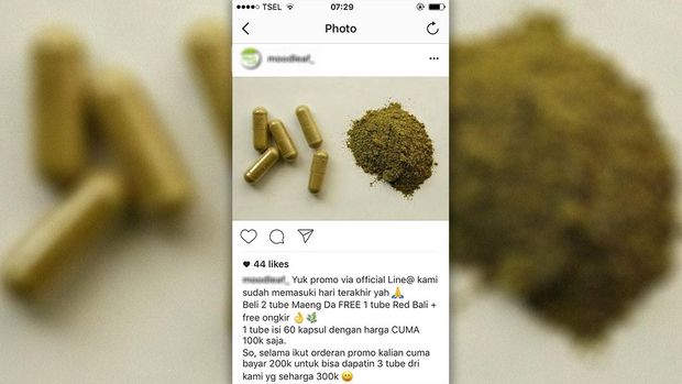 Mengenal Kratom: 'Jamu Alternatif' Para Pecandu