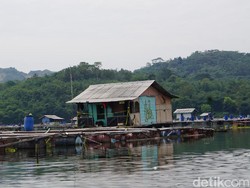 Timbangan Jadi Bukti Kunci Keterlibatan Terduga Teroris Waduk Jatiluhur