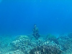 Pose Meditasi di Bawah Laut
