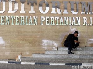 Kementan Anggarkan Rp 737 Miliar Jaga Pasokan Pangan Daerah 2017