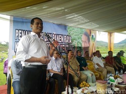 Mentan: Produksi Kentang RI 1,2 Juta Ton, Impor Hanya 29.000 Ton/Tahun