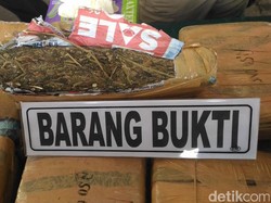 Polres Aceh Utara Gagalkan Penyelundupan 101 Kg Ganja ke Lampung